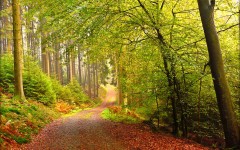 Desktop wallpaper. Nature. ID:66756