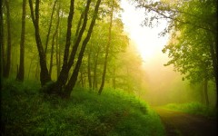 Desktop wallpaper. Nature. ID:66757