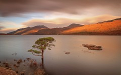 Desktop wallpaper. Nature. ID:66769