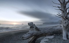 Desktop wallpaper. Nature. ID:66771