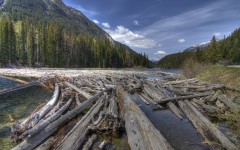Desktop wallpaper. Nature. ID:66772