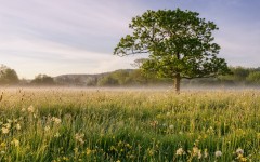 Desktop wallpaper. Nature. ID:66778