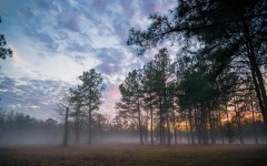 Desktop wallpaper. Nature. ID:66780