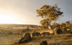 Desktop wallpaper. Nature. ID:66789