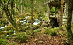 Desktop wallpaper. Nature. ID:66794