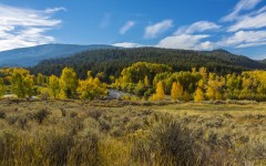 Desktop wallpaper. Nature. ID:66795
