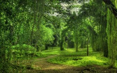Desktop wallpaper. Nature. ID:66797