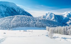 Desktop wallpaper. Nature. ID:66798