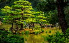 Desktop wallpaper. Nature. ID:66804