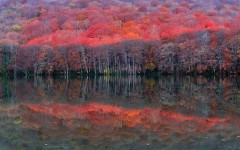 Desktop wallpaper. Nature. ID:66805
