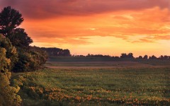 Desktop wallpaper. Nature. ID:66814
