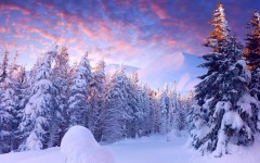 Desktop wallpaper. Nature. ID:66815