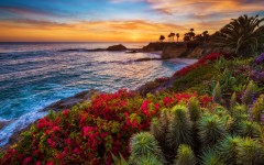 Desktop wallpaper. Nature. ID:66828