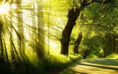 Desktop wallpaper. Nature. ID:66835