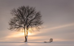 Desktop wallpaper. Nature. ID:66839