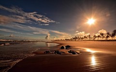 Desktop wallpaper. Nature. ID:66844