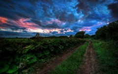 Desktop wallpaper. Nature. ID:66854