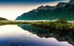 Desktop image. Nature. ID:66857