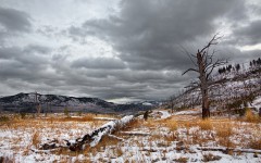 Desktop image. Nature. ID:66864
