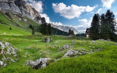 Desktop image. Nature. ID:66868