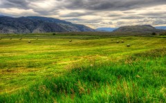Desktop image. Nature. ID:66869