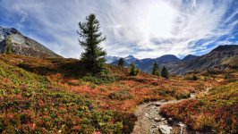 Desktop wallpaper. Nature. ID:94106