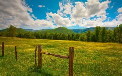Desktop wallpaper. Nature. ID:66897