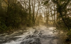 Desktop wallpaper. Nature. ID:66901
