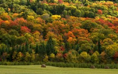 Desktop wallpaper. Nature. ID:66911