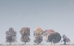 Desktop wallpaper. Nature. ID:66917