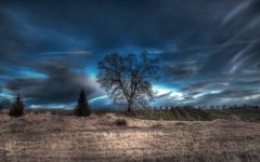 Desktop wallpaper. Nature. ID:66924