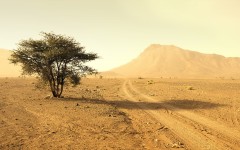 Desktop wallpaper. Nature. ID:66925