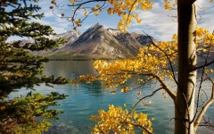 Desktop wallpaper. Nature. ID:66931