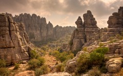 Desktop wallpaper. Nature. ID:66932