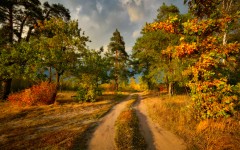 Desktop wallpaper. Nature. ID:66940