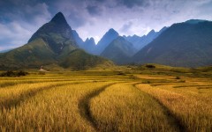 Desktop wallpaper. Nature. ID:66946
