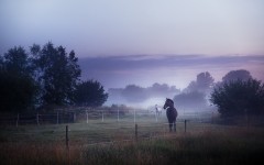 Desktop wallpaper. Nature. ID:66954