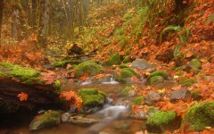Desktop wallpaper. Nature. ID:66957
