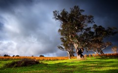 Desktop wallpaper. Nature. ID:66959
