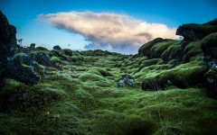 Desktop wallpaper. Nature. ID:66970
