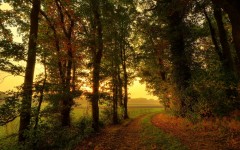 Desktop wallpaper. Nature. ID:66972