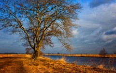 Desktop wallpaper. Nature. ID:66976
