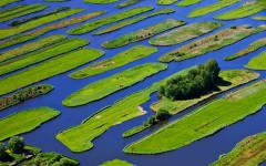 Desktop wallpaper. Nature. ID:66977