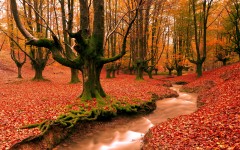 Desktop wallpaper. Nature. ID:66997