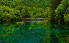 Desktop wallpaper. Nature. ID:67003