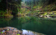 Desktop wallpaper. Nature. ID:67004