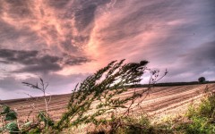 Desktop wallpaper. Nature. ID:67008