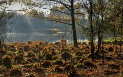 Desktop wallpaper. Nature. ID:67013