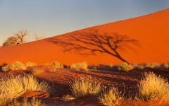 Desktop wallpaper. Nature. ID:67014