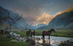 Desktop wallpaper. Nature. ID:67016